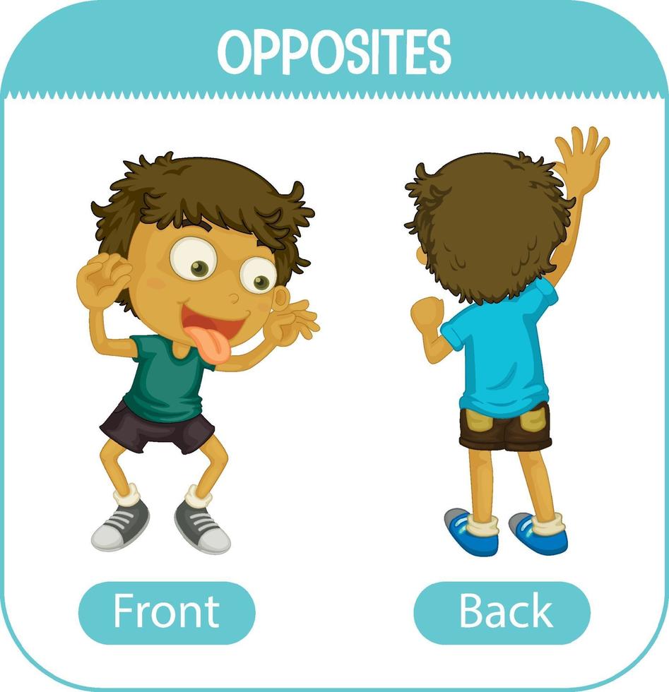 Opposite words with front and back vector