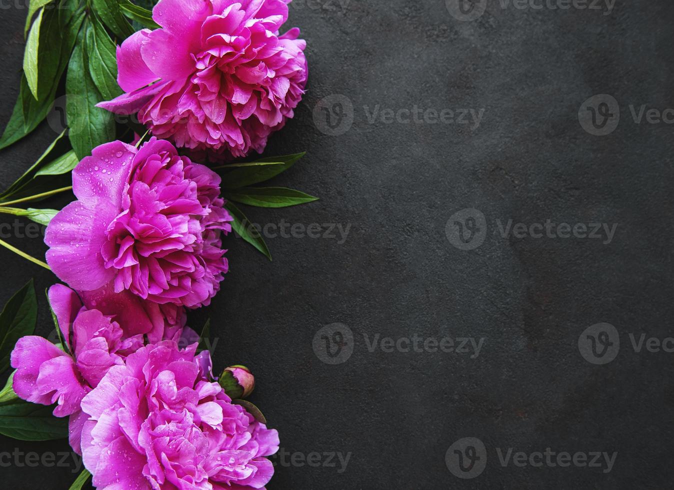 Flores de peonía sobre un fondo de hormigón negro foto