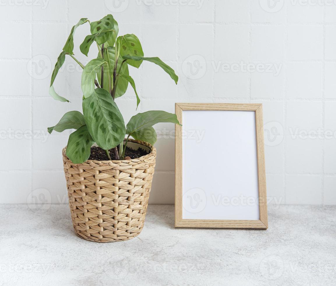 House plant with blank frame mock-up photo