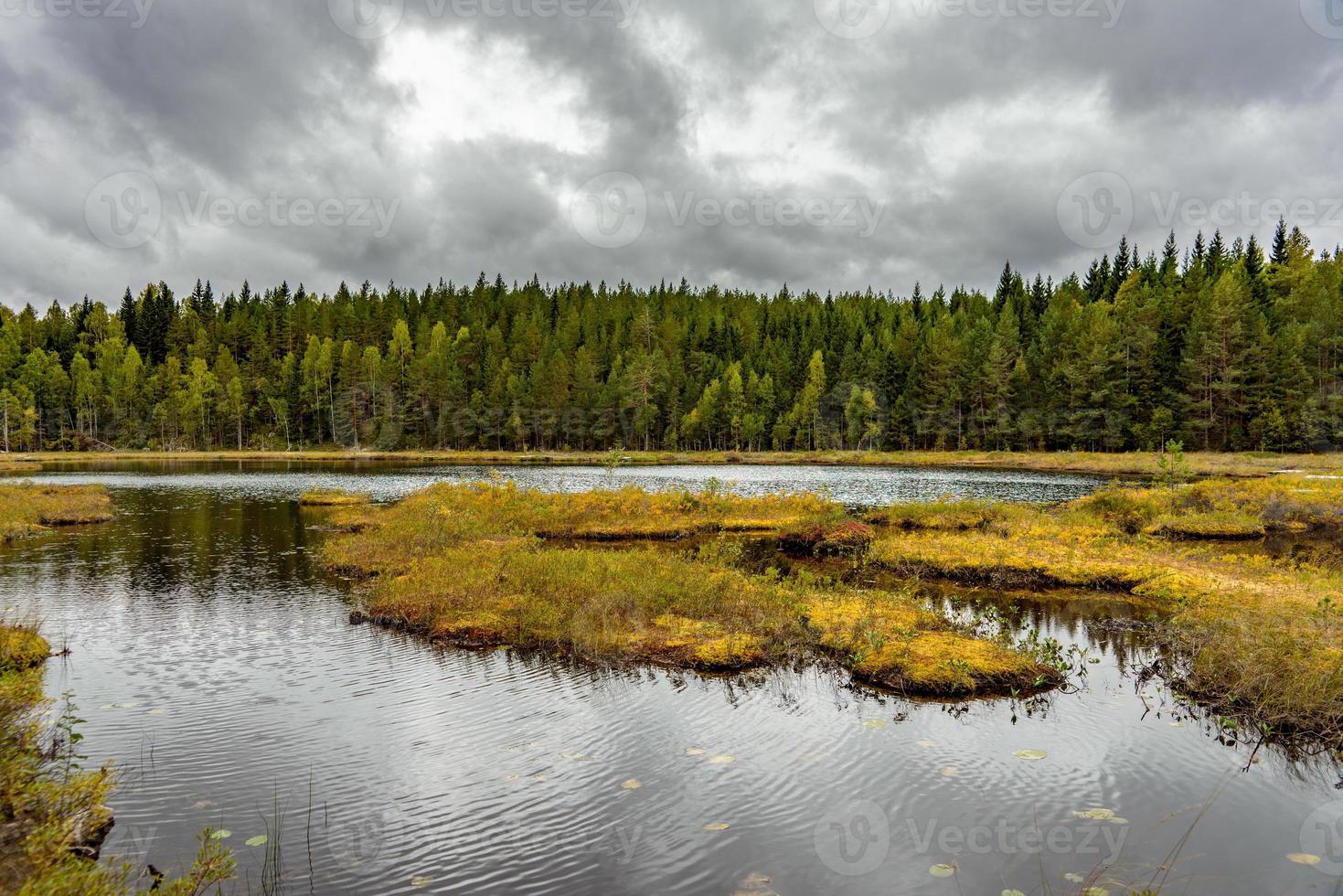 pequeño lago de pesca en suecia foto
