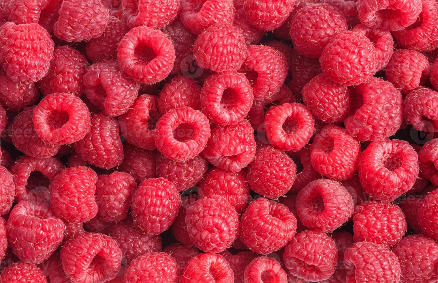 Fresh raspberries as textured background photo