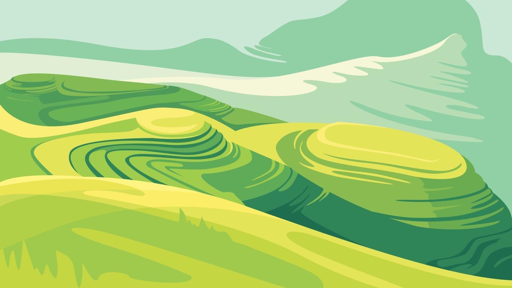 Landscape with rice fields. vector