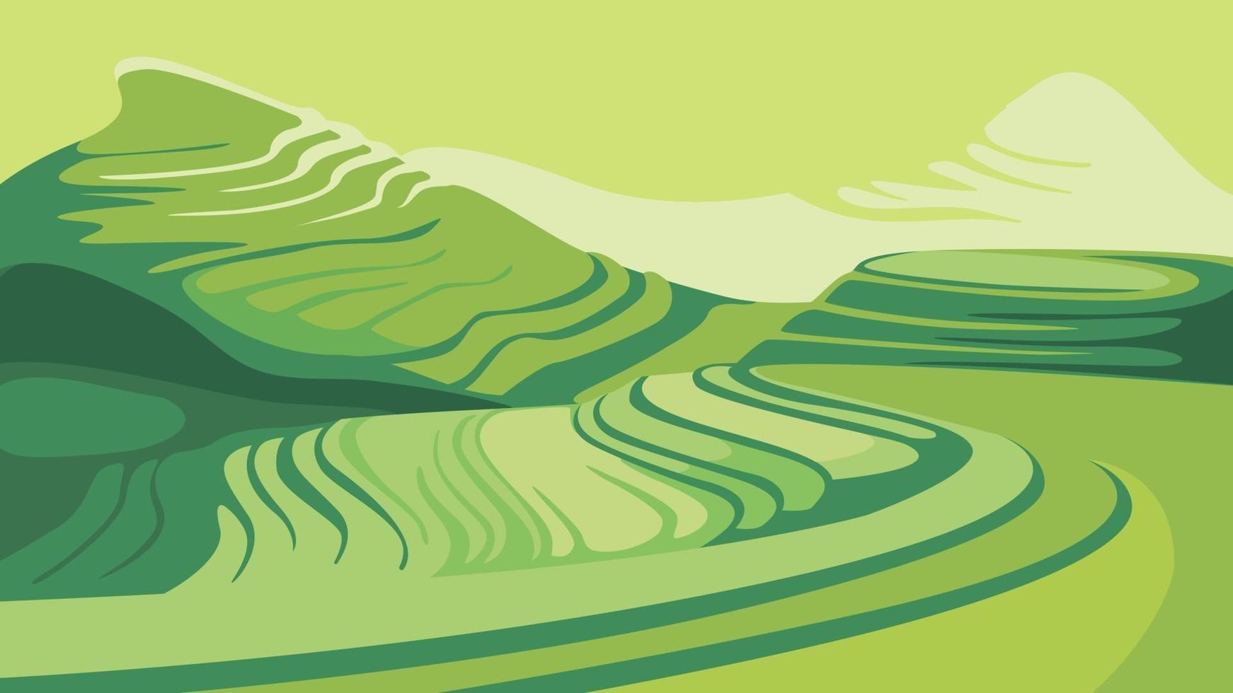 paisaje con terrazas de arroz. vector