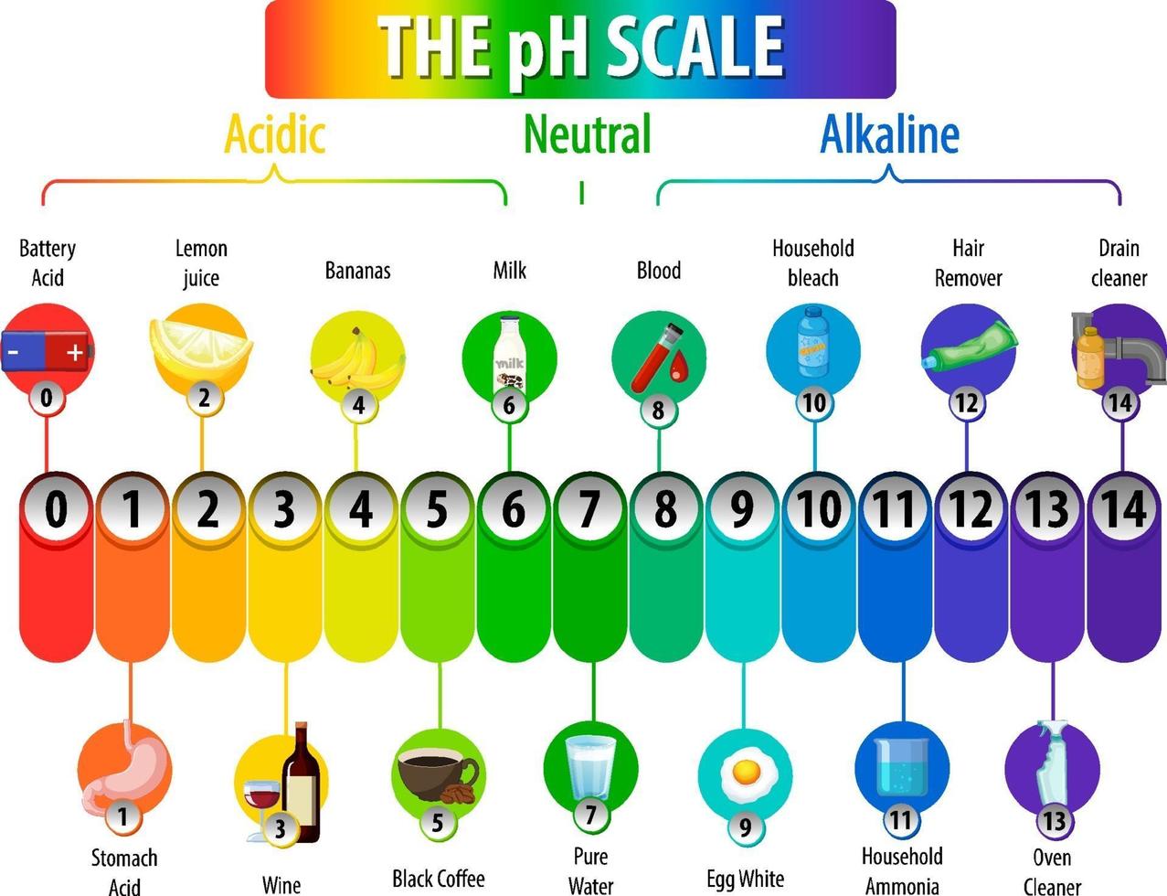 A pH scale on white background vector