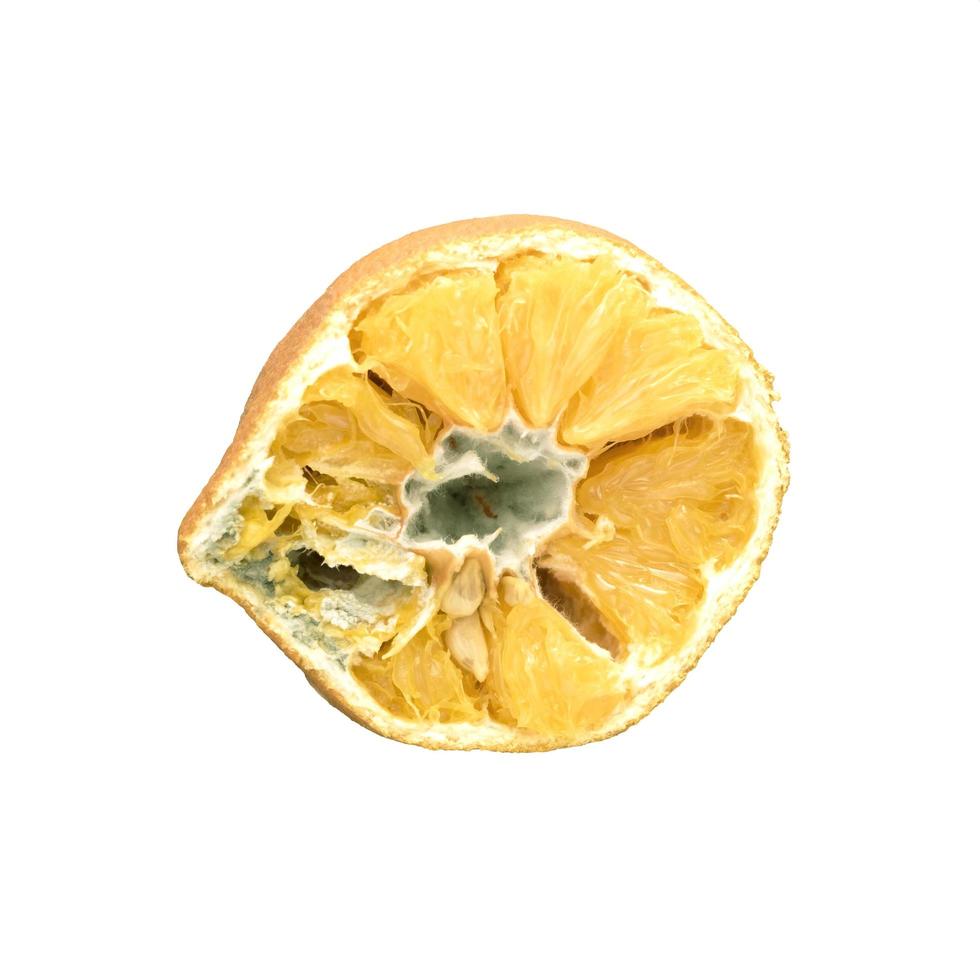 Rotten orange isolated on white photo