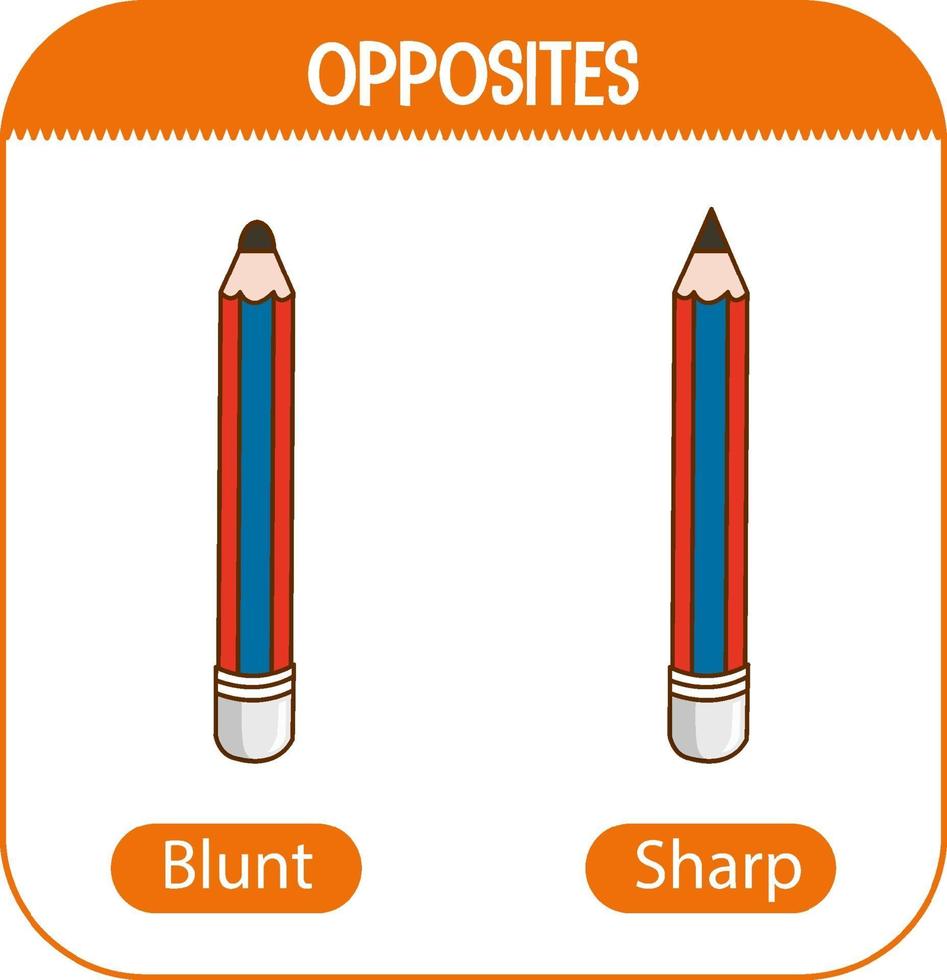 Opposite words with blunt and sharp vector