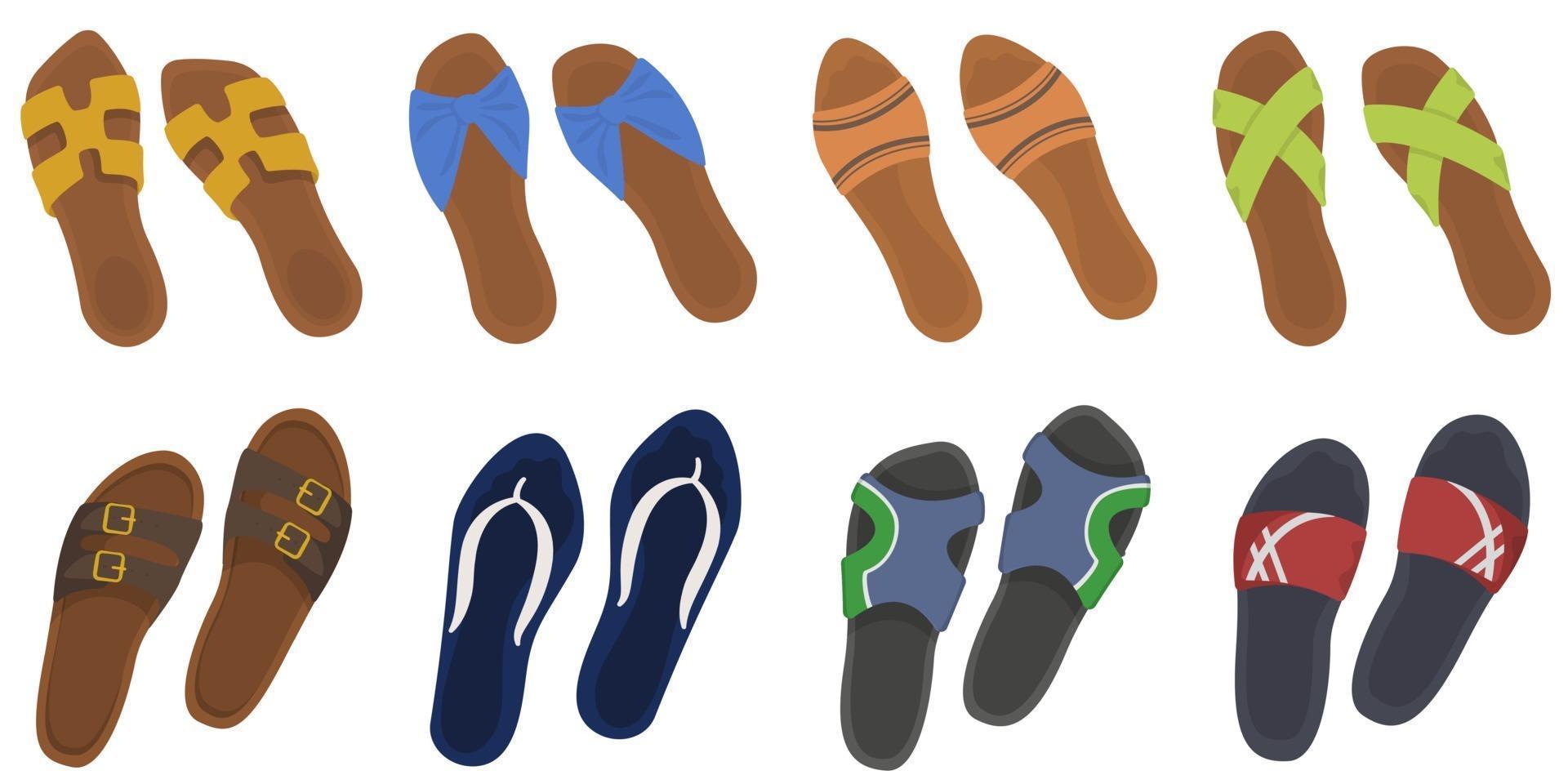 Set of summer flip flops. Male and female footwear in cartoon style. vector