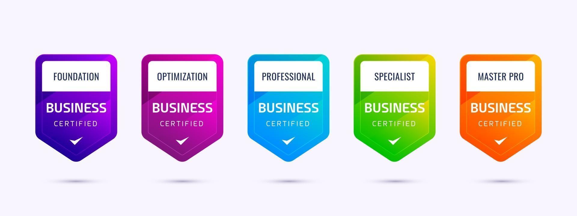 Set of business company training badge certification to determine based on colorful criteria. vector