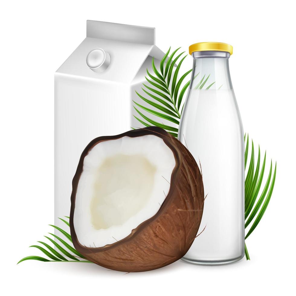 paquete de leche de coco y maqueta de botella. Ilustración realista de vector 3D de leche vegana beneficiosa en botella de vidrio y paquete de papel de cartón