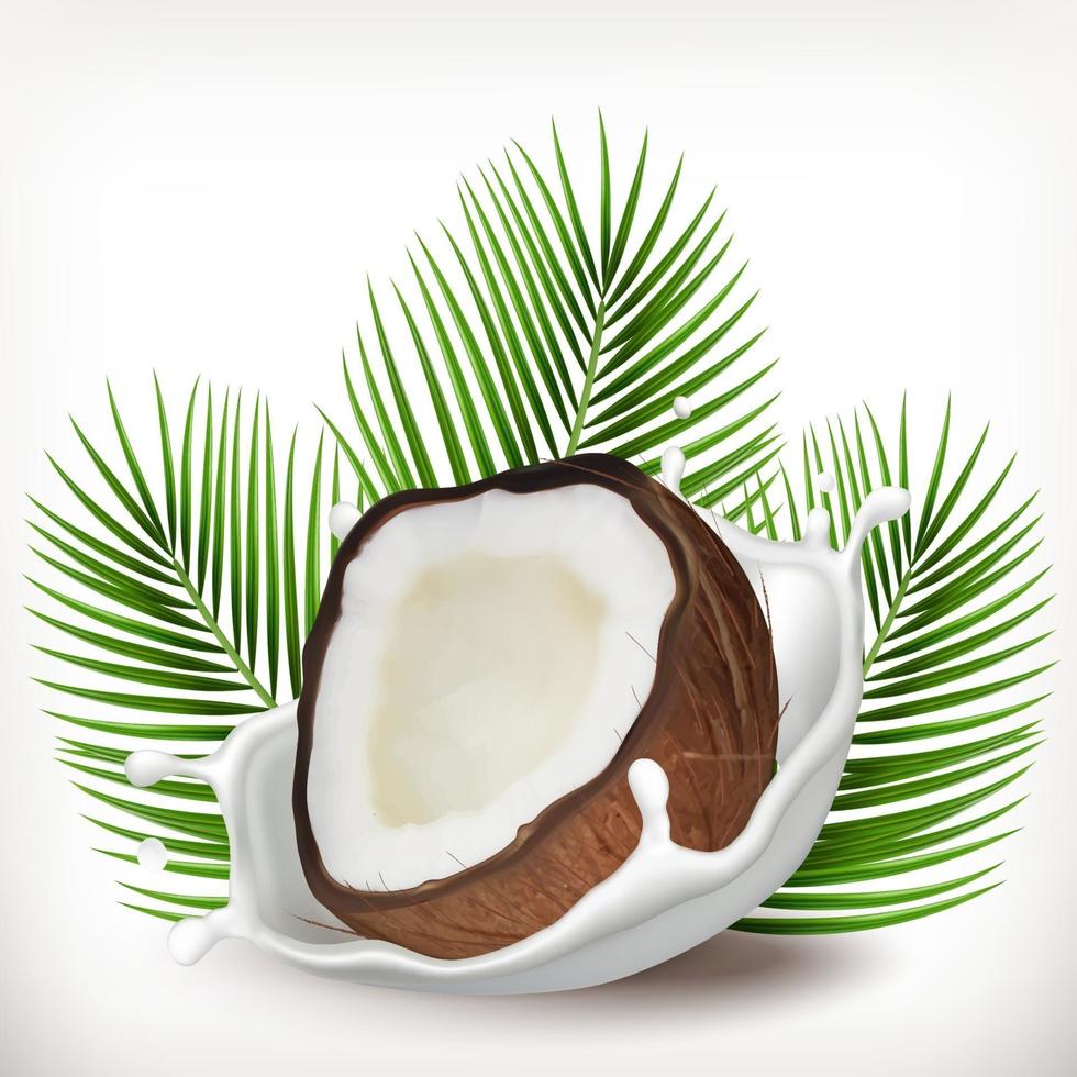 Coconut and milk splash with palm leaves. Realistic illustration. 3d vector icon