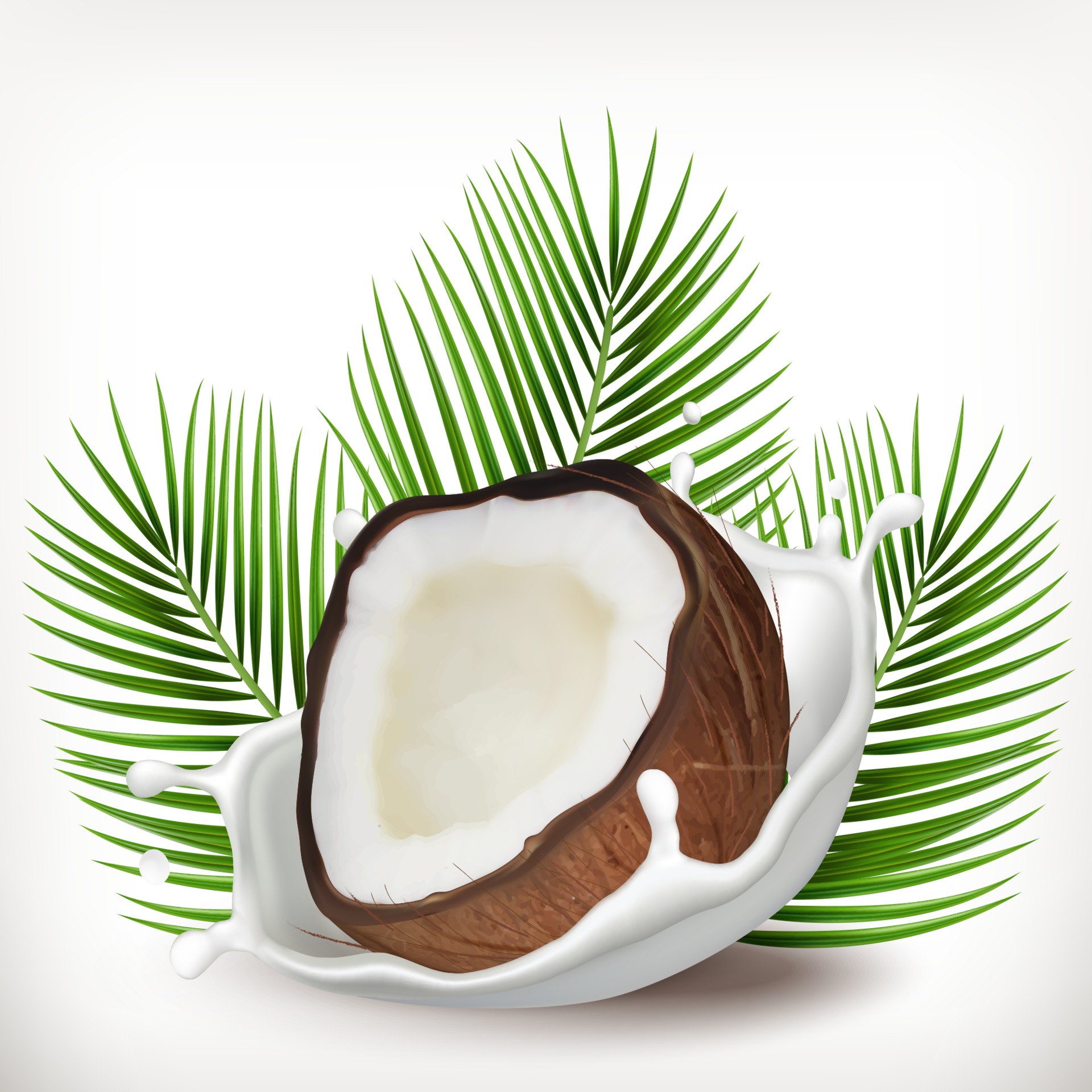 salpicaduras de coco y leche con hojas de palma. ilustración realista.  Icono de vector 3d 2290655 Vector en Vecteezy