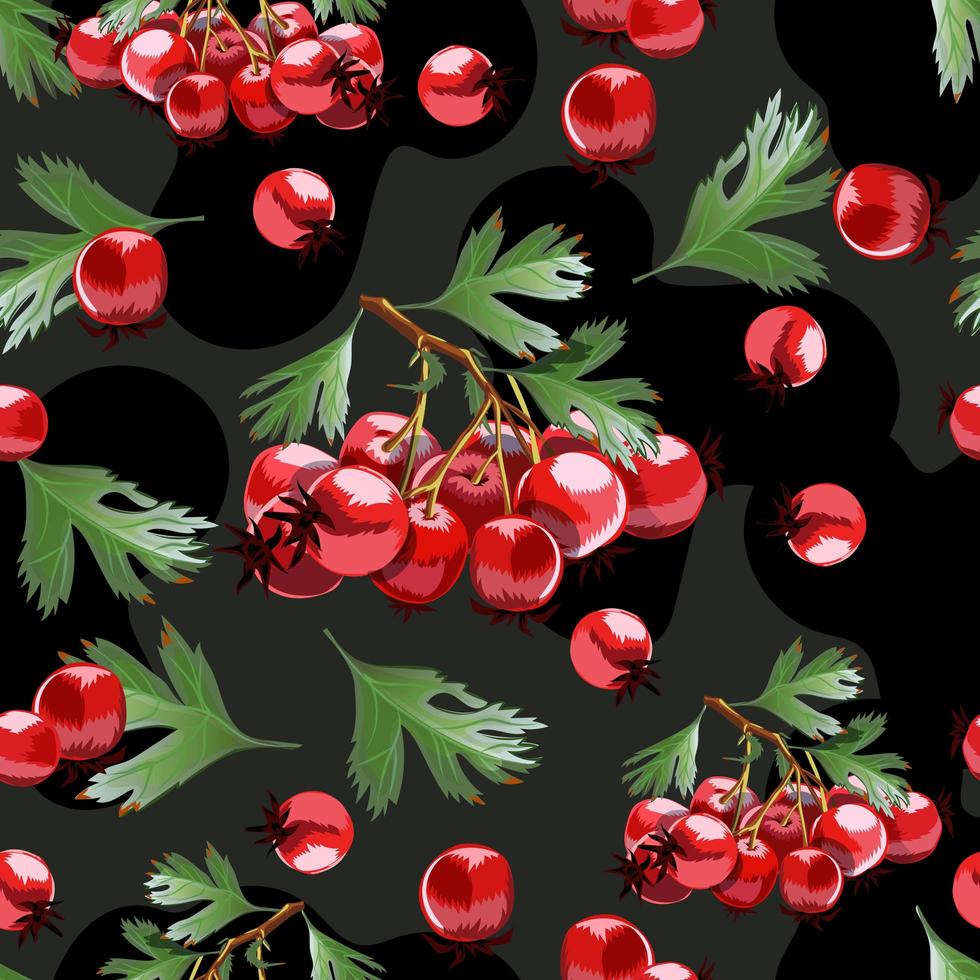 Seamless pattern with hand drawn hawthorn brunches. vector