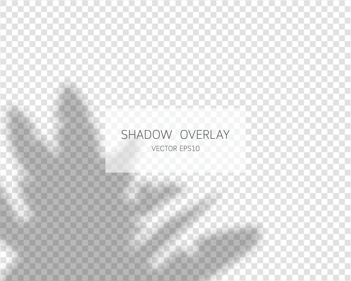 Shadow overlay effect. Natural shadows isolated on transparent background. Vector illustration.