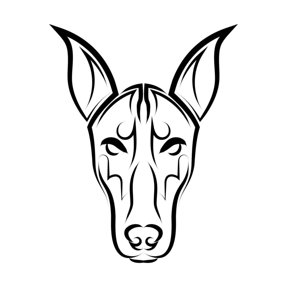 Black and white line art of Doberman Pinscher dog head. vector