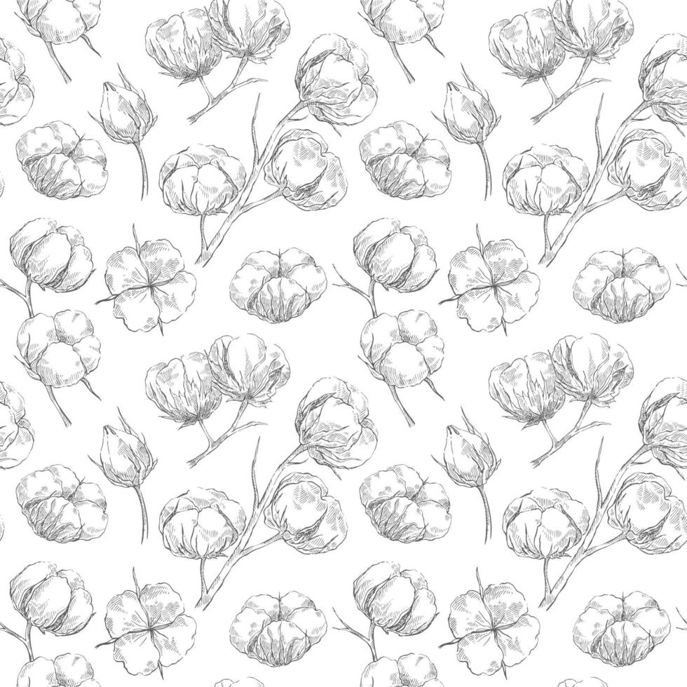 Seamless pattern with cotton on sketch style vector