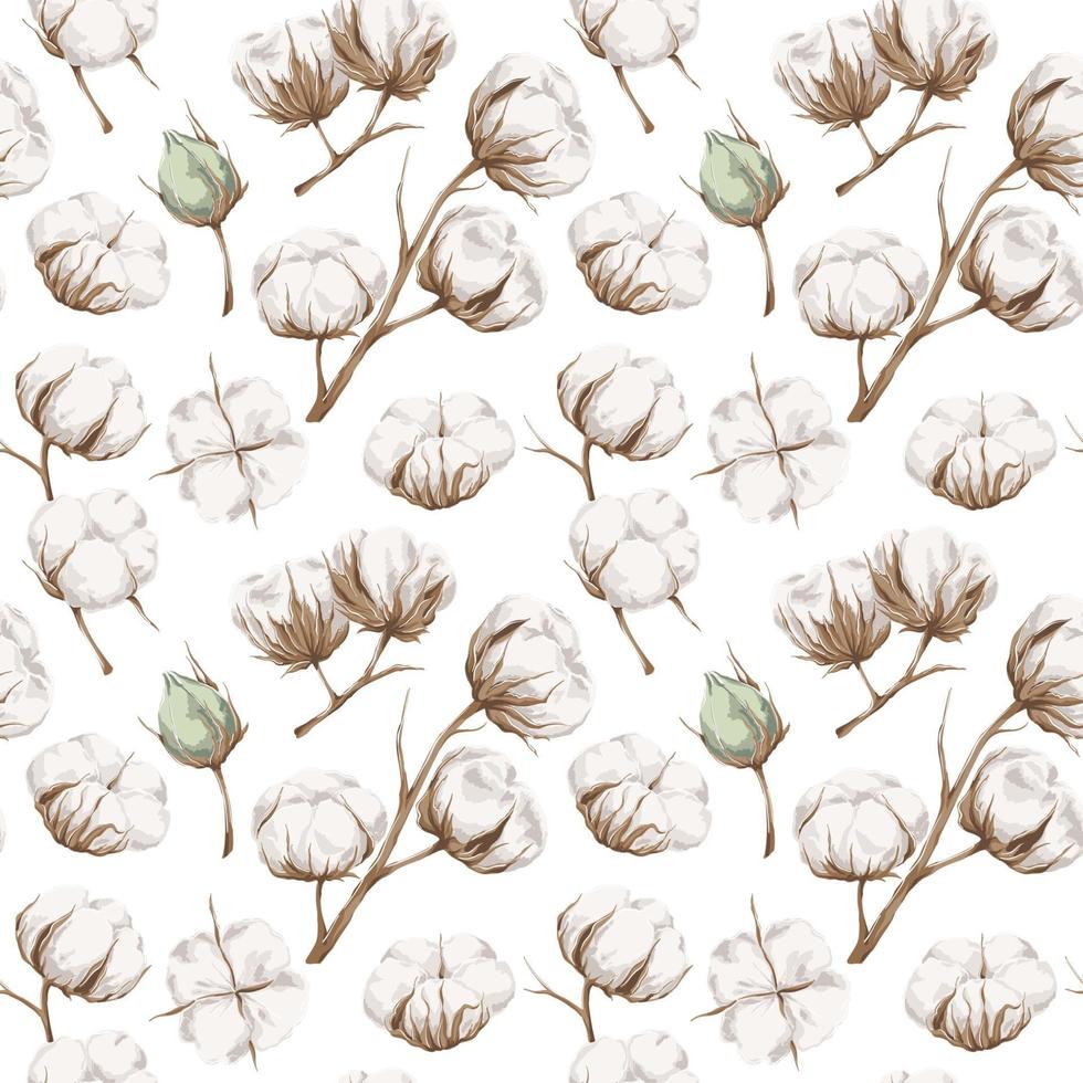Seamless pattern with cotton vector