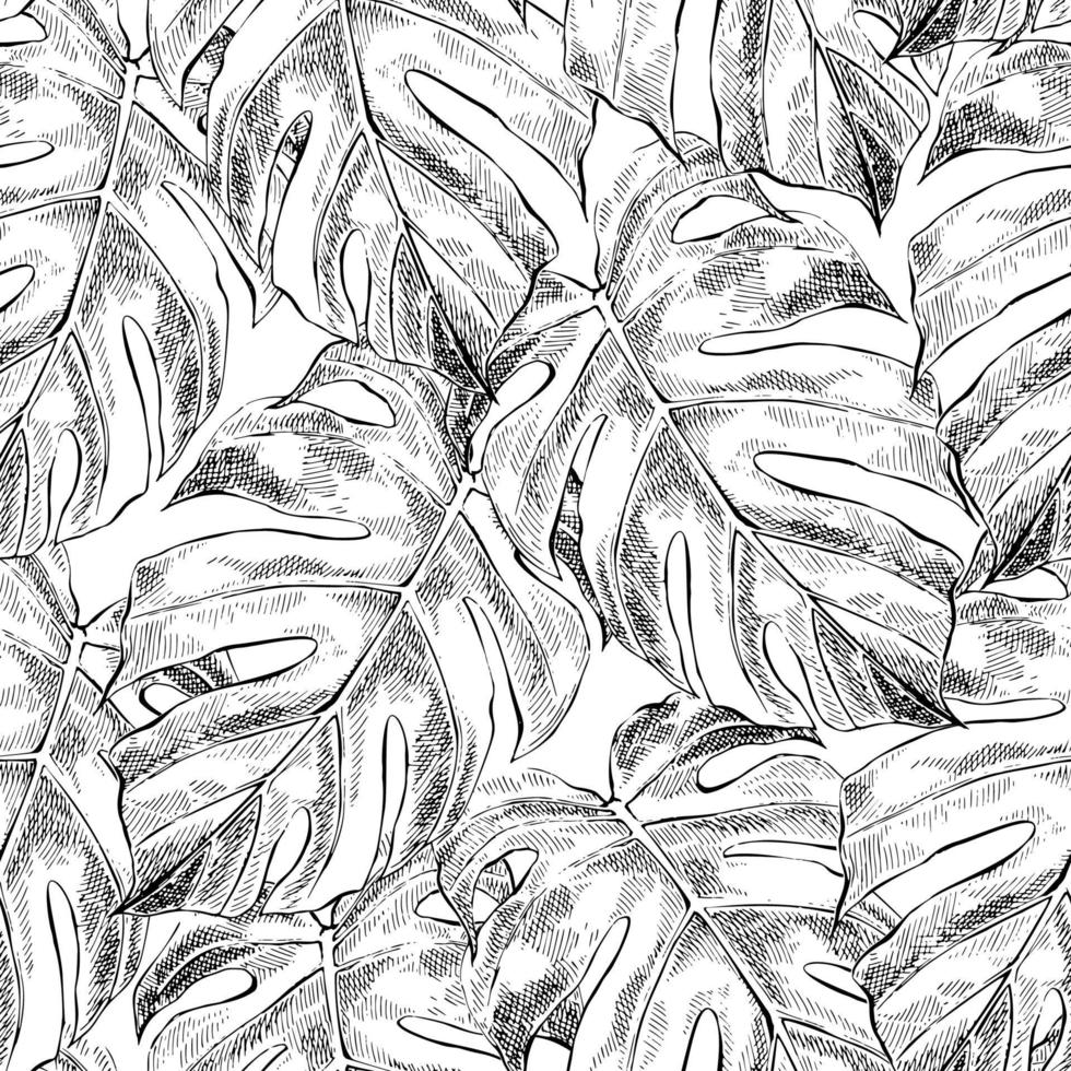 Seamless pattern with monstera leaves in sketch style vector