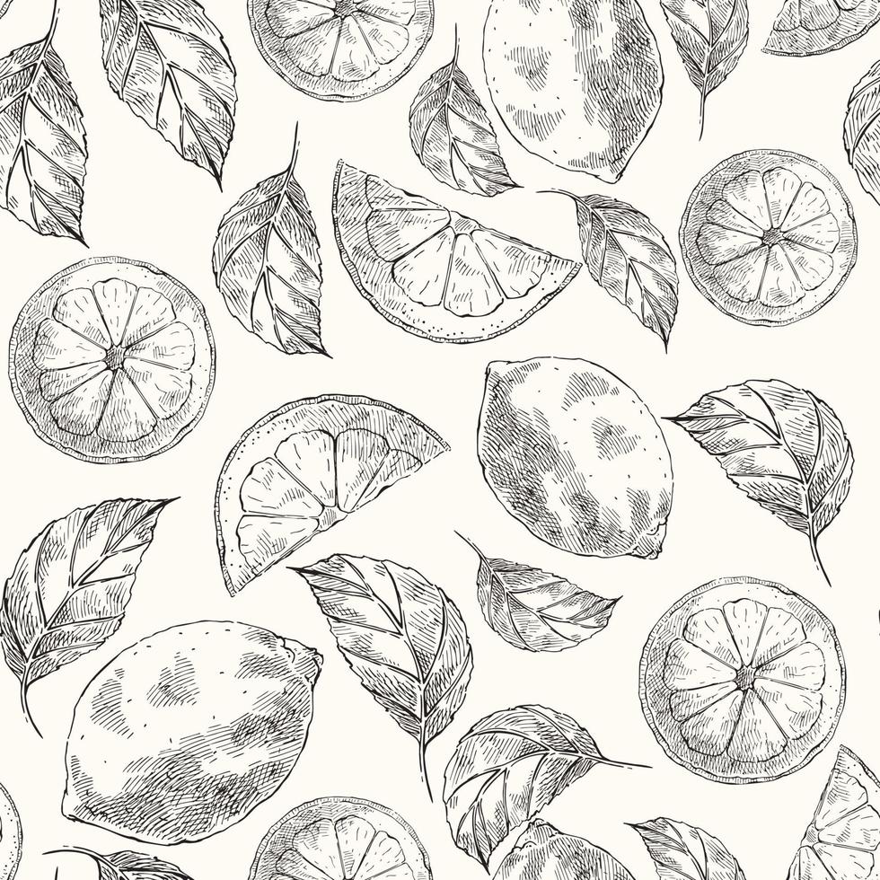 patrón sin costuras con limones en el estilo de dibujo vector