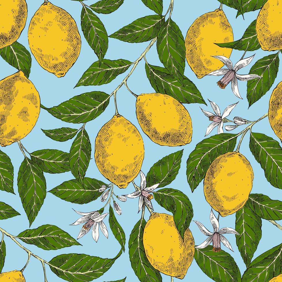 Vintage seamless pattern with lemons and flowers vector