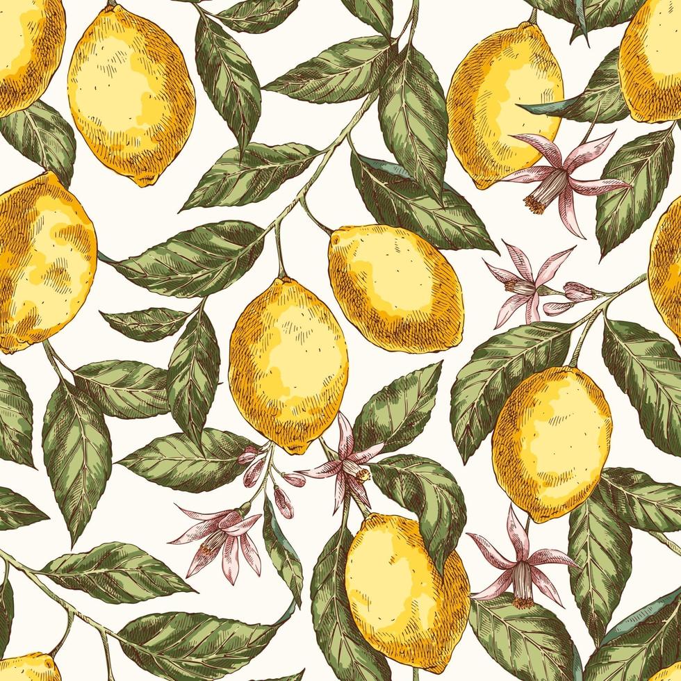 Vintage seamless pattern with lemons and flowers vector