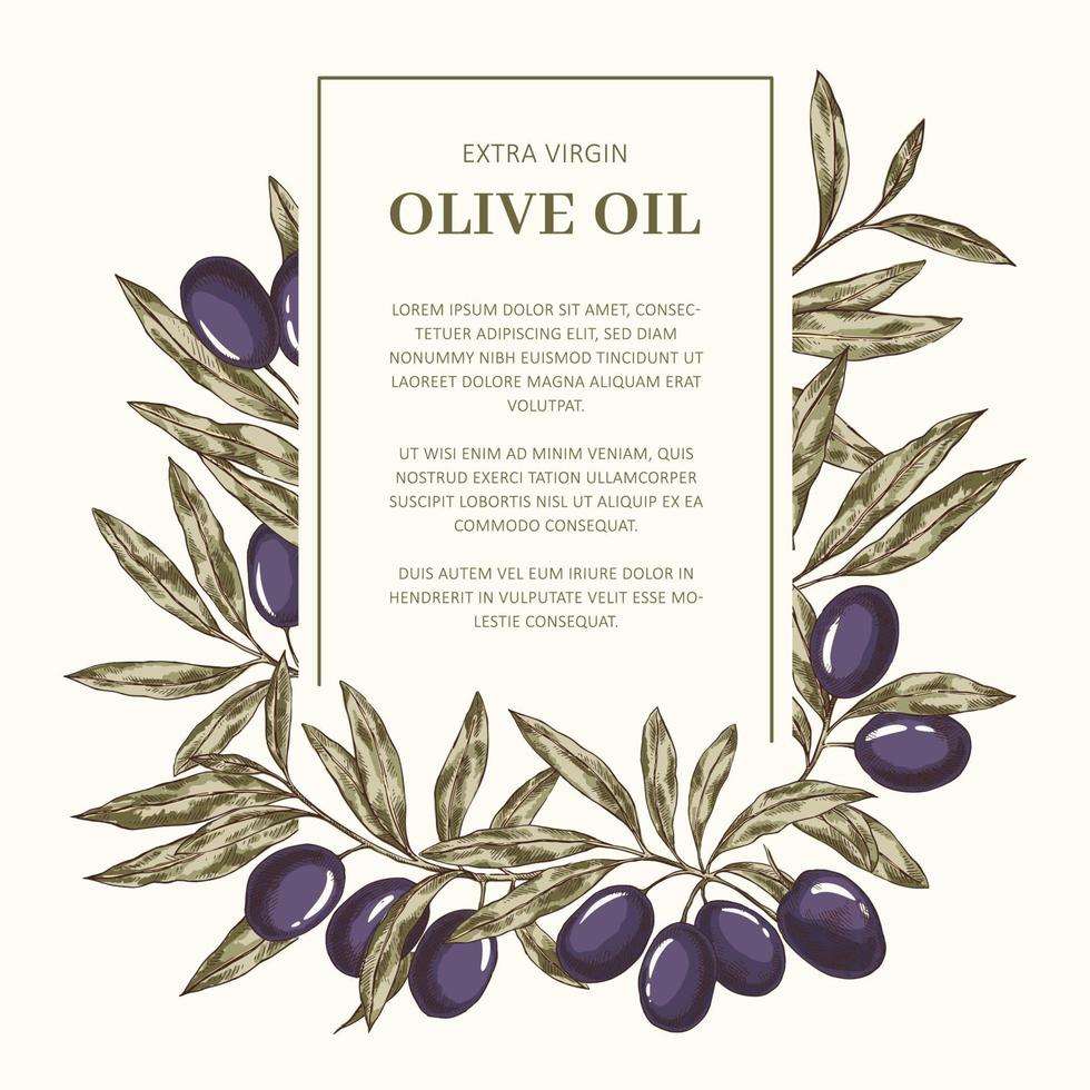 Label with olives, frame with place for text vector