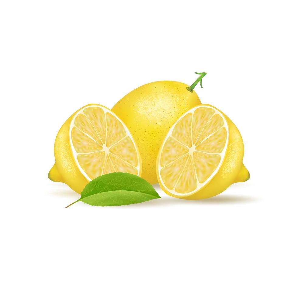 fresh lemon fruit isolated on white background. illustration realistic vector