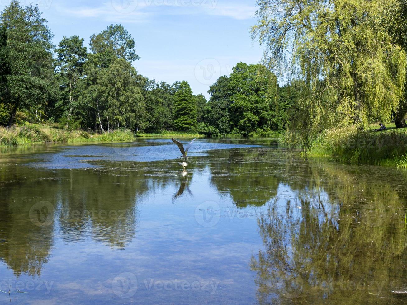 Lago en el arboreto de Yorkshire, North Yorkshire, Inglaterra foto