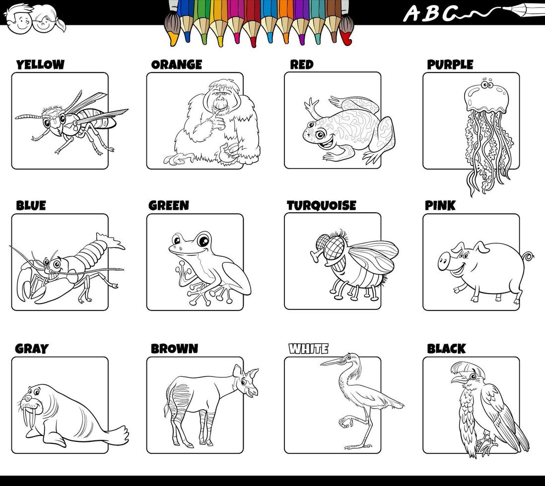 basic colors with animal characters set coloring book page vector