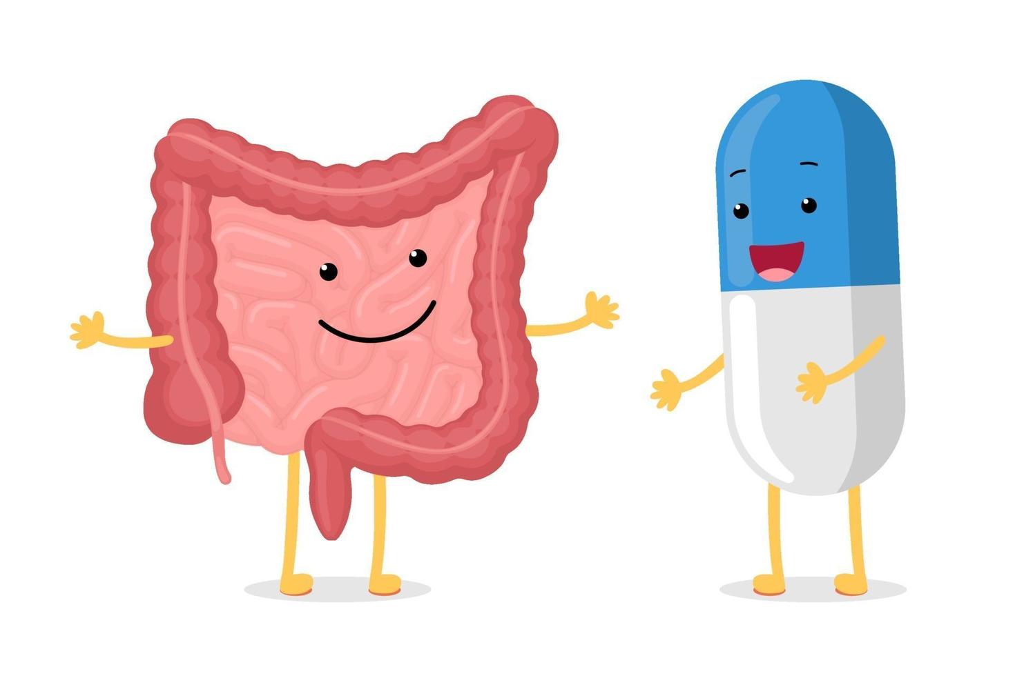 Caricatura lindo intestino sano y personaje de píldora de medicamento sonriente. Cavidad abdominal digestiva y excreción de órganos internos humanos con cápsula probiótica o antibiótica. ilustración vectorial de drogas vector