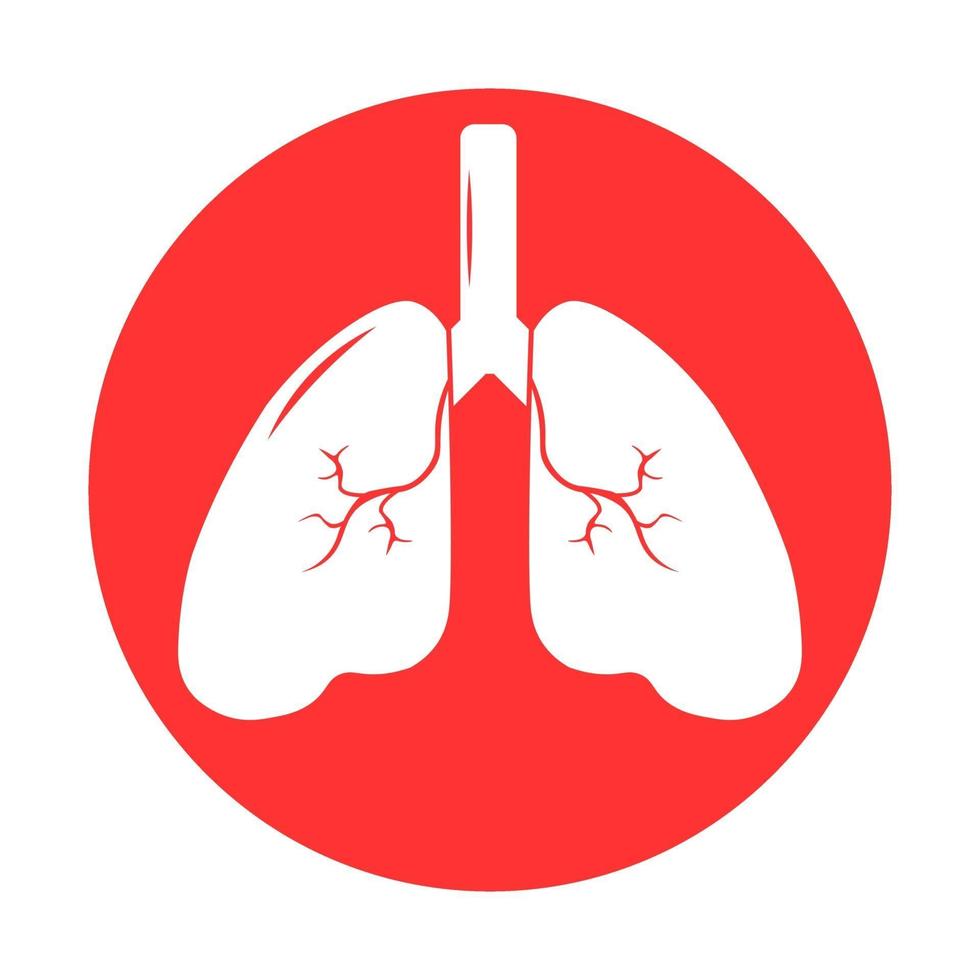 Lung human icon, respiratory system healthy lungs anatomy flat medical organ icon vector