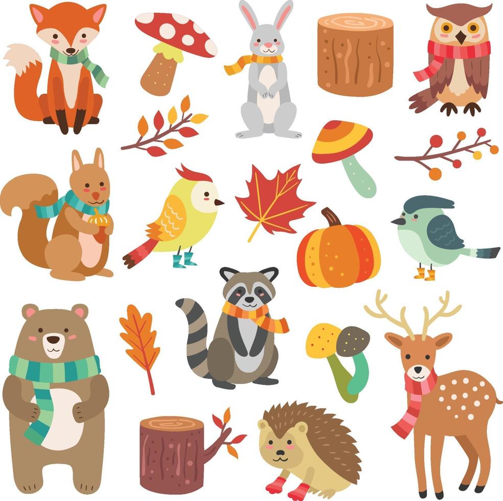 Collection of Cute Autumn Animal Characters and Elements vector