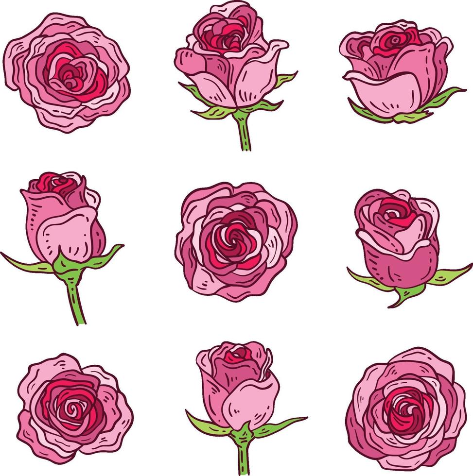 colección de rosas rosadas vector