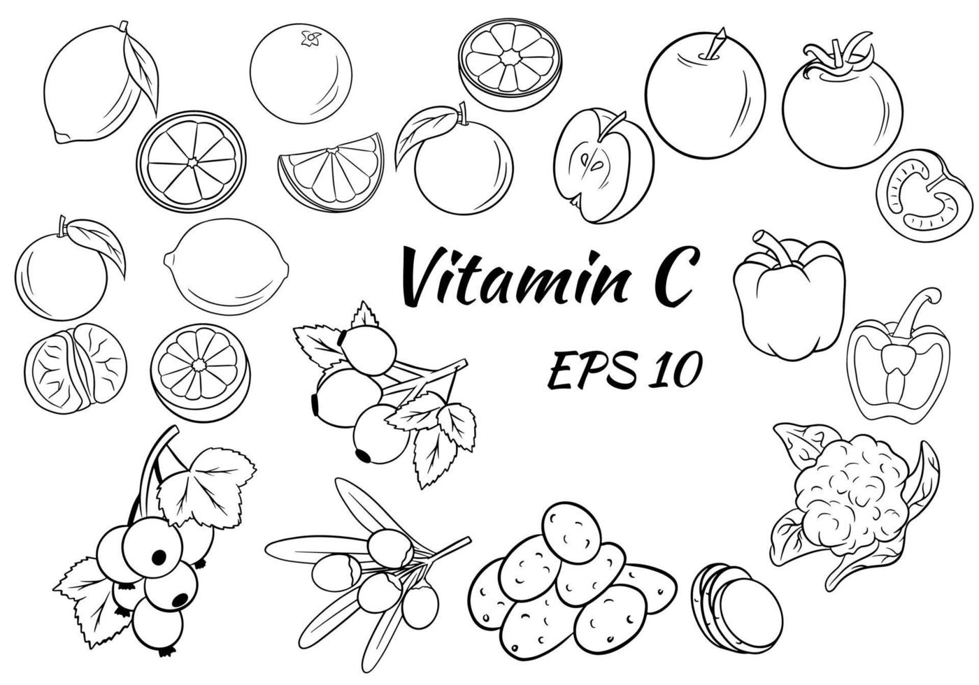 conjunto de frutas y verduras y bayas. vitamina C. comida sana. gran colección. vector