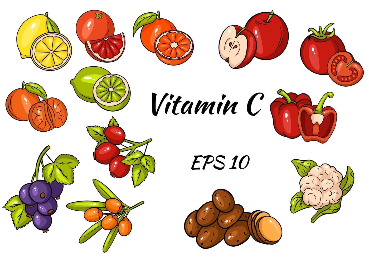 conjunto de frutas y verduras y bayas. vitamina C. comida sana. gran colección. vector