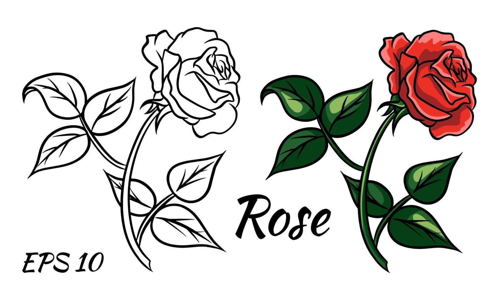 Red rose cartoon style on a white background. vector