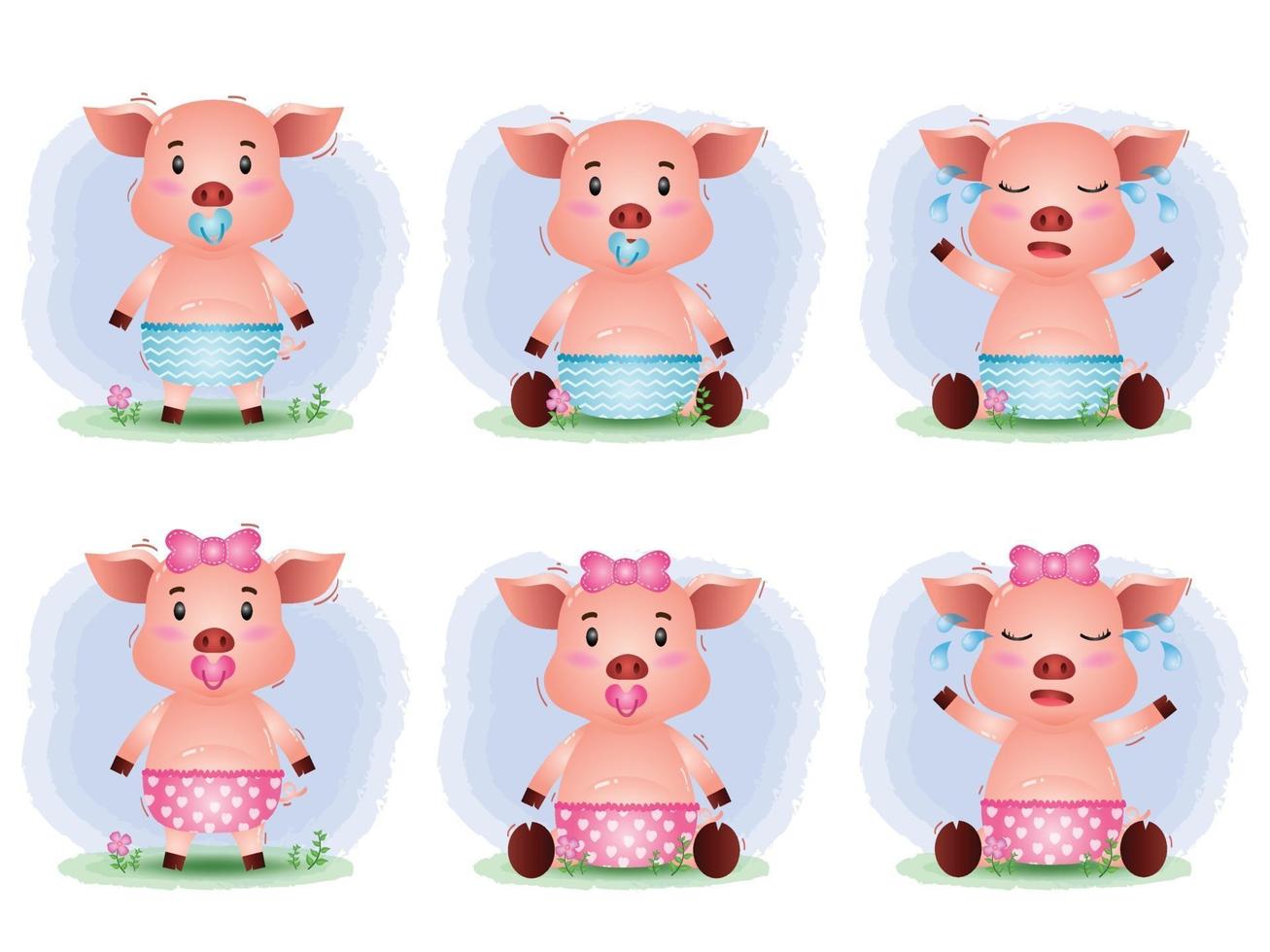 cute pig baby collection in the children's style vector