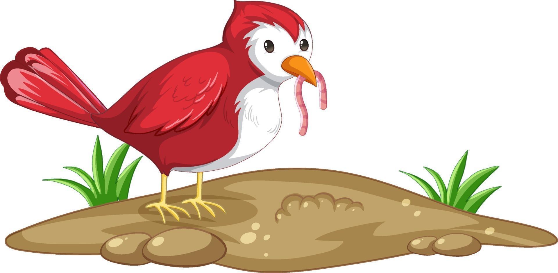 A red bird catching worm in cartoon style isolated vector