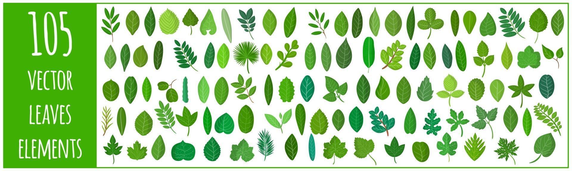 Vector cartoon set of illustrations with different green leaves of plants and trees