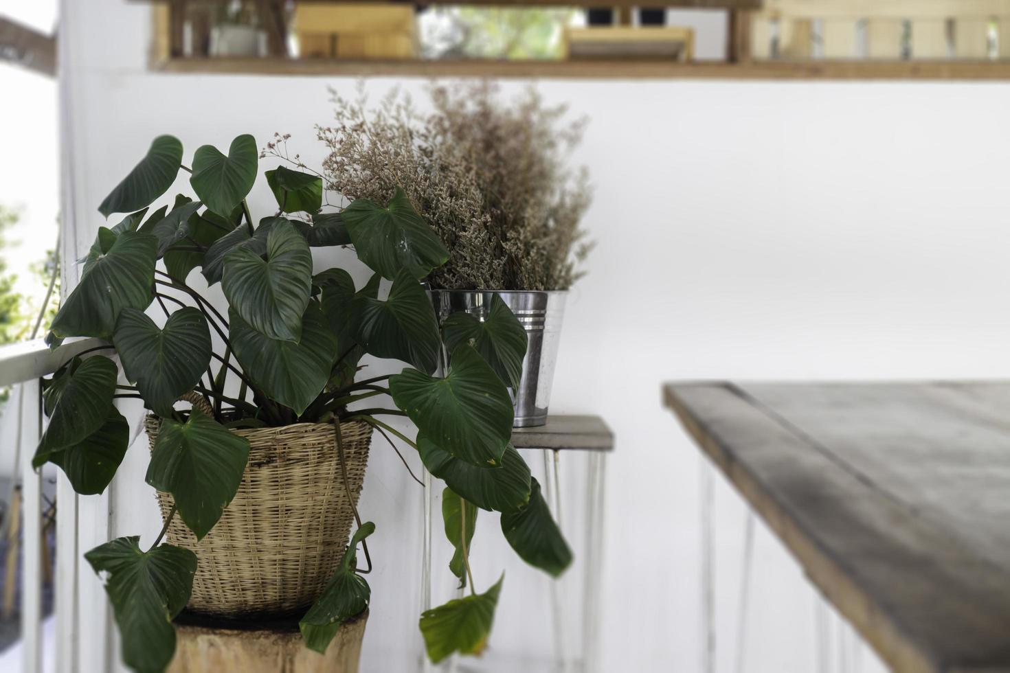 Minimal coffee shop interior photo