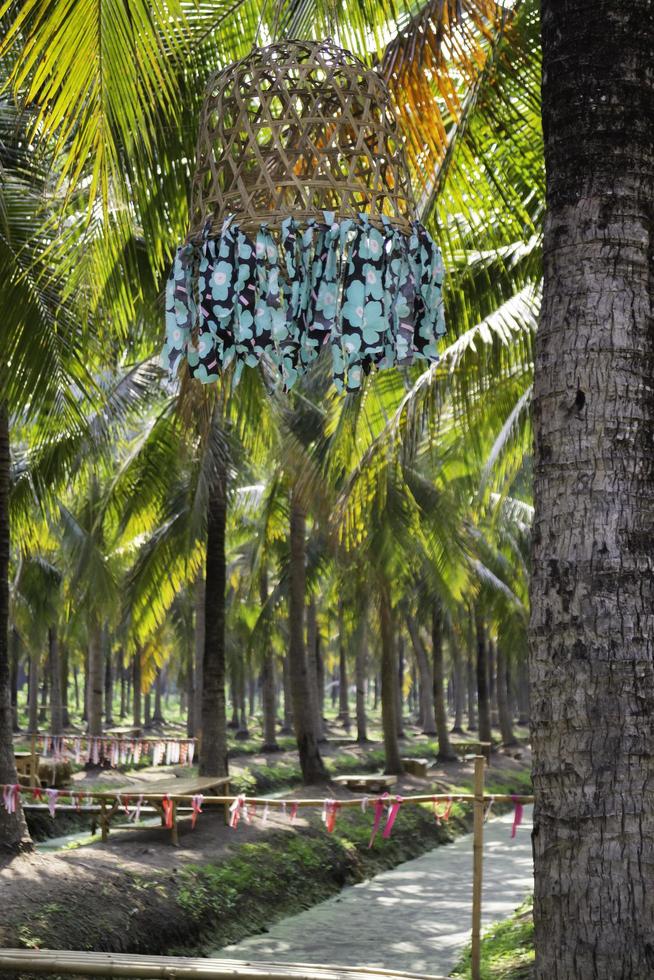 Coconut palm trees photo