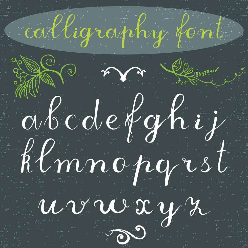 Font classic calligraphy lower vector