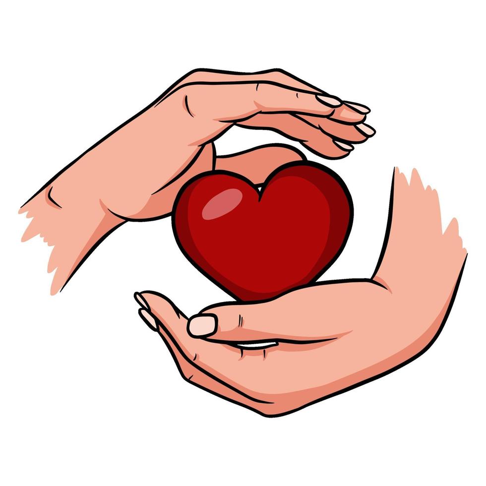 Hands are holding a red heart. vector