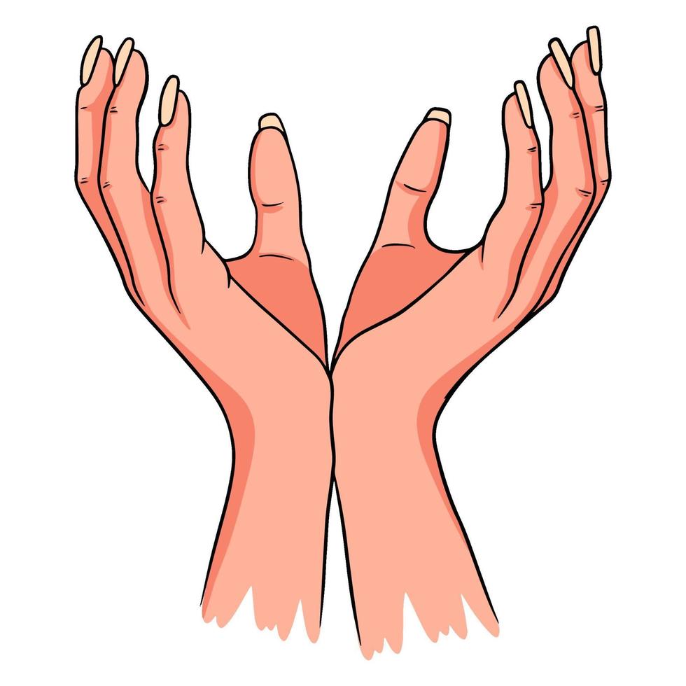 Hands in the form of a vase. Hands gesture. Protection. vector