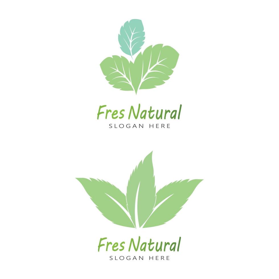 Leaf icon Vector Illustration design Logo template