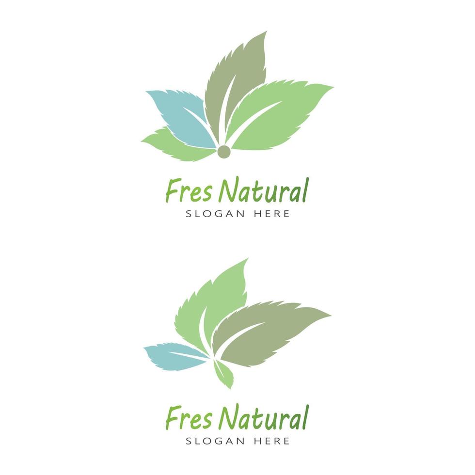 Leaf icon Vector Illustration design Logo template