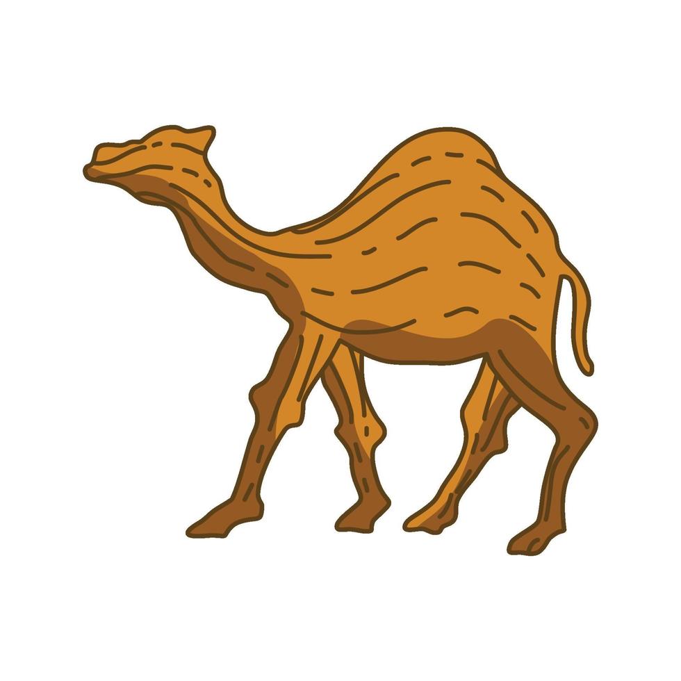 Camel Illustration Animal Design vector