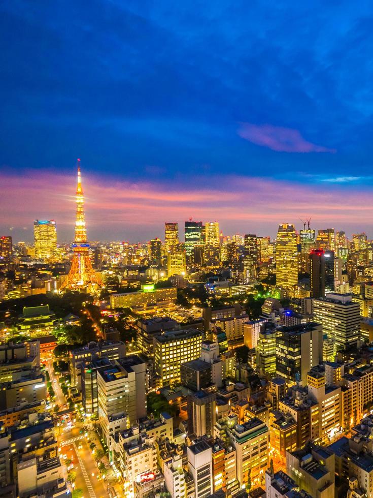 Aerial view of Tokyo in Japan photo