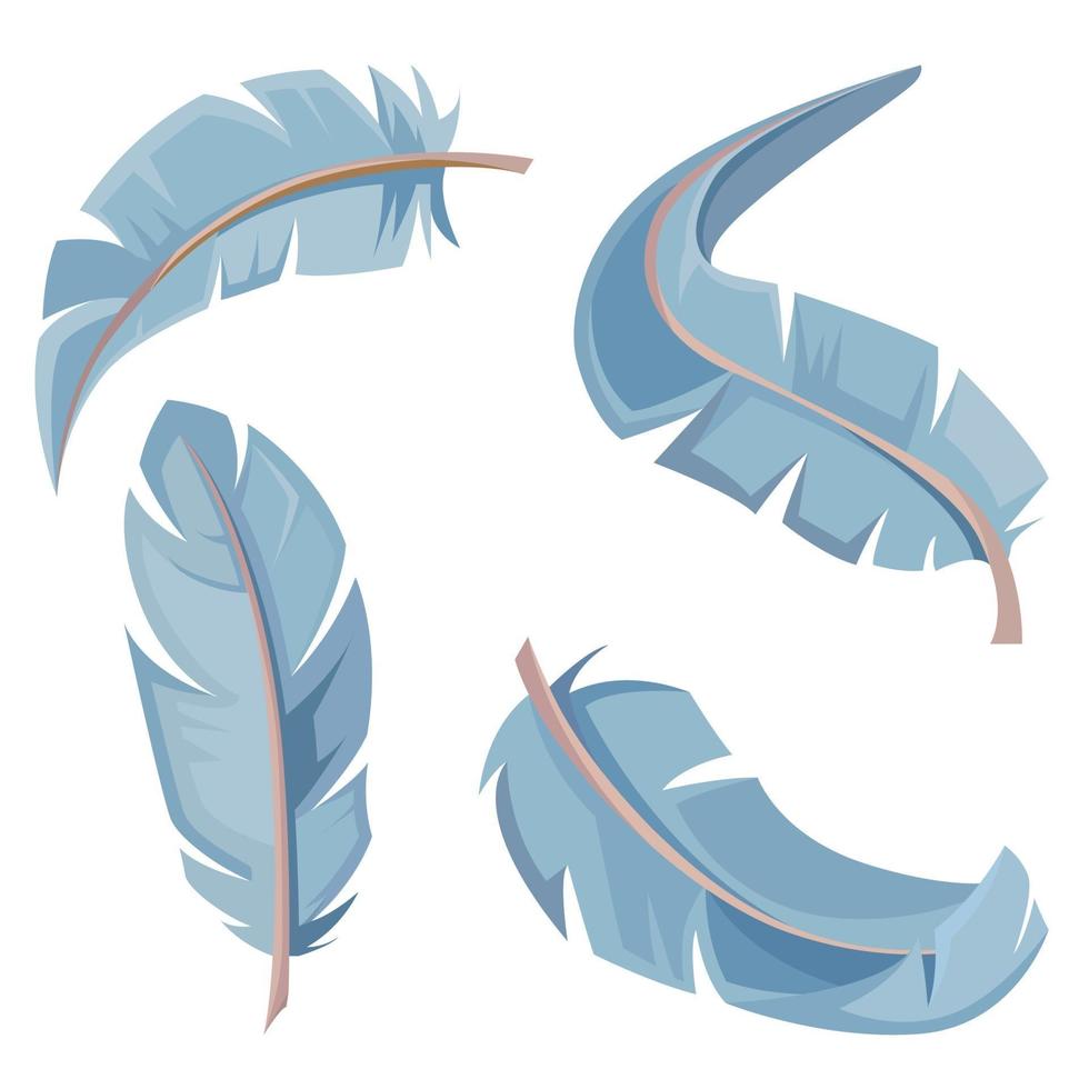 Set of bird feathers. vector