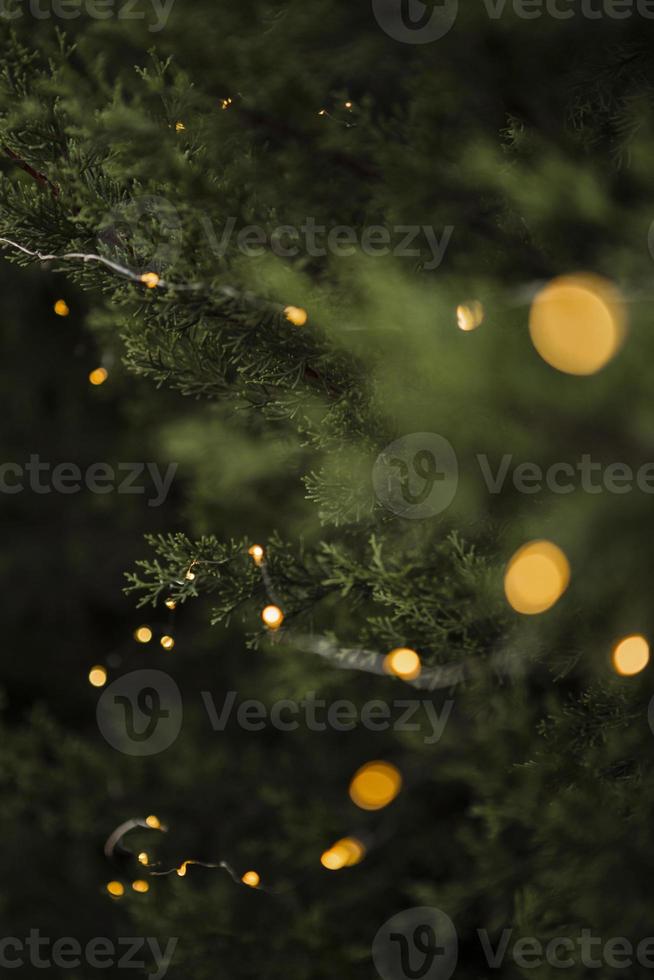 decoración navideña con hermosas luces de árboles foto