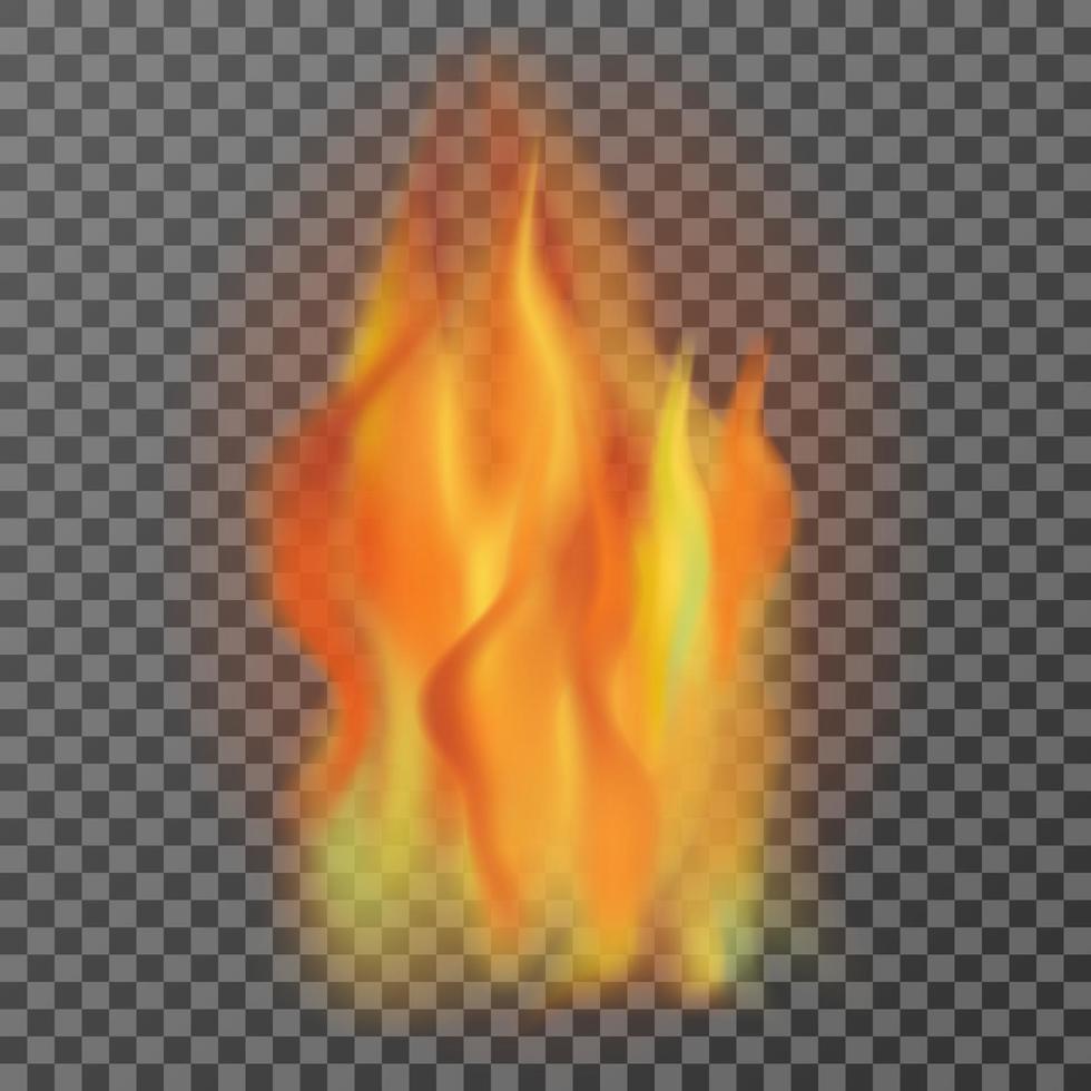 Realistic fire flames isolated on transparent background, vector illutration